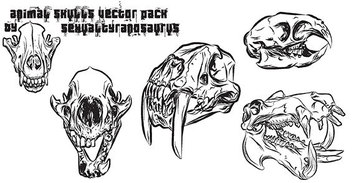 Animal skulls