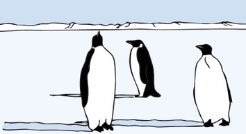 Animals Tux Linux Birds Ice Swim Walk Penguins Pole