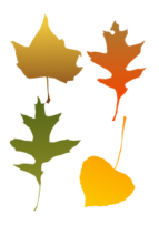 Autumn Leaf selection