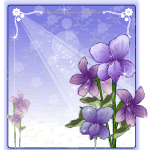 Beautiful Flower Frame in Vector