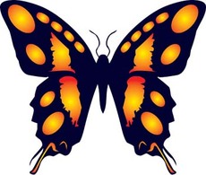 Butterfly Vector 14