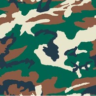 Camouflage Pattern 2