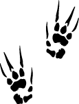 Claw Prints Vector