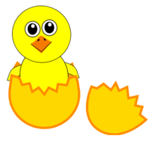 Funny Chick Cartoon Newborn Coming Out from the Egg