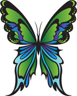 Green Butterfly Vector