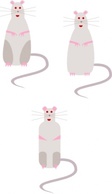 Mouse Rat Animal Rodent