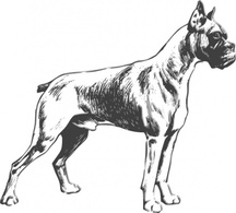 Outline Dog Lineart Pet Animal Mammal Boxer