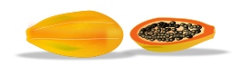 Papaya Sliced