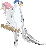 Pigeon vector 2