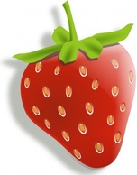 Red Food Fruit Cartoon Strawberry Plant Berry Strawberries Edible