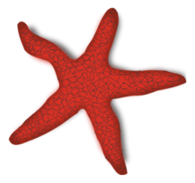 Red Starfish