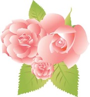 Rose Flower Vetor 31