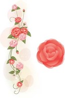 Rose Flower Vetor 38