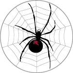 Spider In The Web Vector