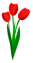 Three Red Tulips